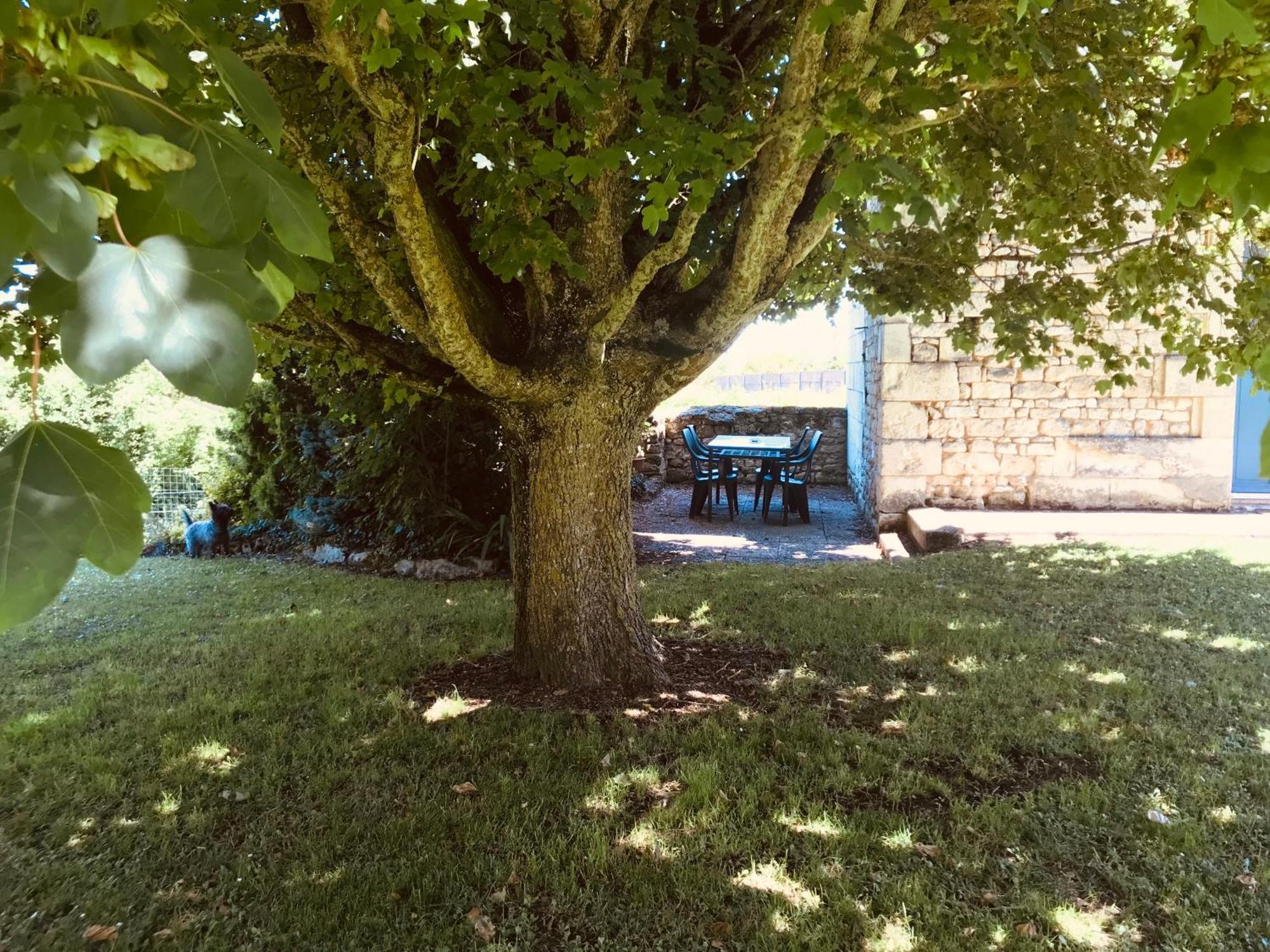 Gite Au Boom Coeur En Options Spa Et Repas Tourtenay Exteriér fotografie